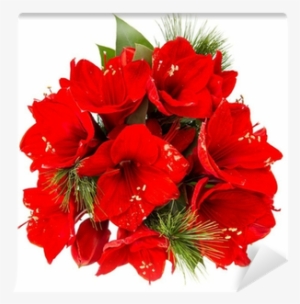 Bouquet Of Amaryllis - Flower Image Without A Background