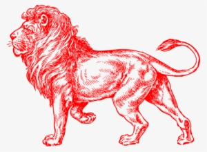 Lion Sketch Shower Curtain