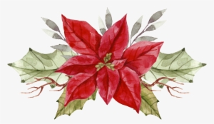 Painted A Christmas Flower Png Transparent - Christmas Day