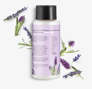 Love Beauty And Planet Argan Oil & Lavender Shampoo - Hair Conditioner