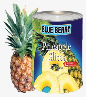 Pineapple Slice