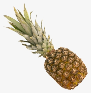 Small Pineapple - Pineapple