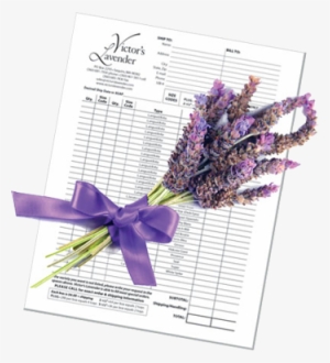 Victor's Lavender Order Form - Planilha De Orçamento Familiar