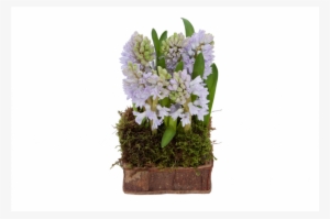 0029 Lady Lavender - Bouquet