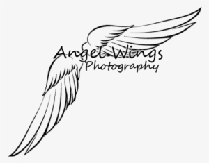 Angel Wings Photography Logo - Photography Logos With Wings