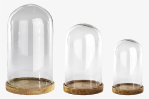 Inu Glass Decorative Dome