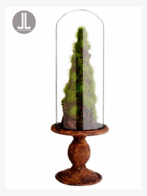 17" Moss/twig Cone Topiary In Glass Dome Green Brown