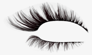 Pestañas Png Para Photoscape - Eyebrows Png