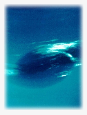 One Of These Lasted For A Few Years And Was Called - Neptune Planet Close Up