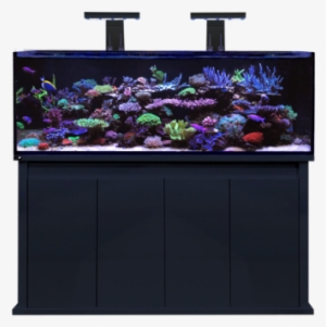 D D Reef Pro 1500s Black - Dd Reef Pro 1500