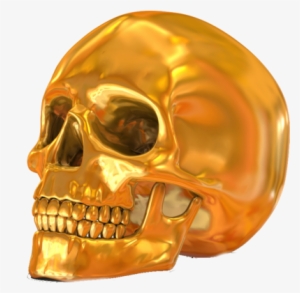 Skull Psd Via - Vietguild's Golden Skull Necklace Pendants Pewter Silver,