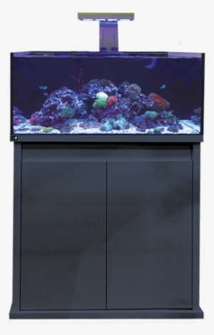 D D Reef Pro - Dd Reef Pro 900