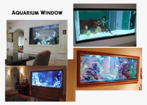Let Us Fill The Aquarium Window With Our Own Fish Or - Built In Fish Tanks