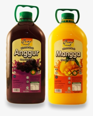 Description - Plastic Bottle