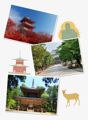 Shrine Approach Shrine Shrine Approach Shrine - Kansai International Airport