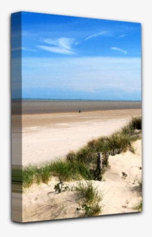 Greatstone Sand Dunes - Sand