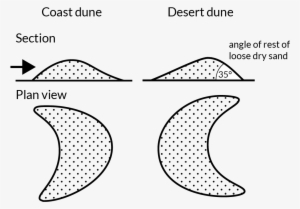 A Comparison Of Coast And Desert Dunes - Line Art