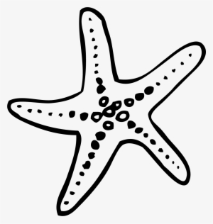 Francis Len Oasis Wedding - Starfish Doodle Png