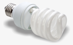 Bombillos - Incandescent Light Bulb