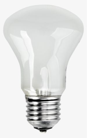 Inicio - Elinchrom Modeling Lamp 100w (230v)