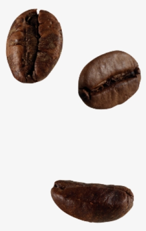 El Aroma De Café Desaparece Rápidamente Después De - Chicchi Di Caffè Png