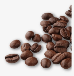 Conócenos - Cafe Semilla Png