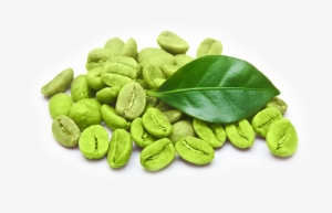 Raspberry Ketones - Green Coffee Bean Png