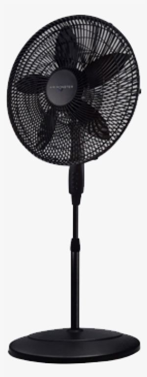 Fans