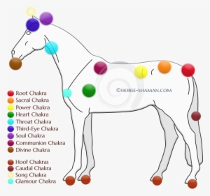 Part - Horse Chakras
