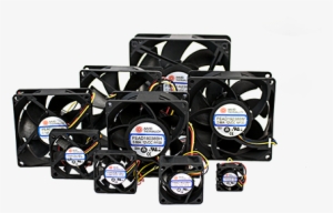Fan