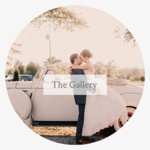 The Weddings - Wedding