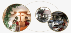 Make An Appointment With Us Today, So We Can Start - Wedding Reception