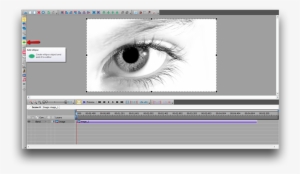 After That, Select A Colored Type Without Borders On