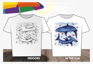 Burst Into Color In The Sun - Color