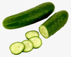 Pepino Png Vagonettas Srbagancia - Semente Pepino Híbrido Kybria F1 1.000 Mx