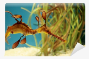 Waterworld Wall Calendar By Tushita Publishing