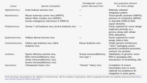 Taxonomy Of The Retroviral Family And Commonly Used - Retrovirus