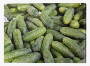 Pepino - Cucumber - Cetriolo - Gurke Canvas Print • - Cucumber