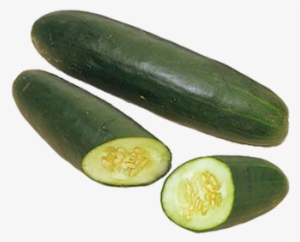 Imagen Imagen Real De Pepino - Pepino