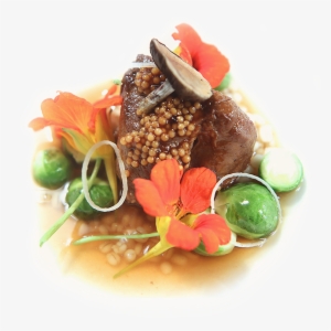 Free Recipes - Haute Cuisine Recipes