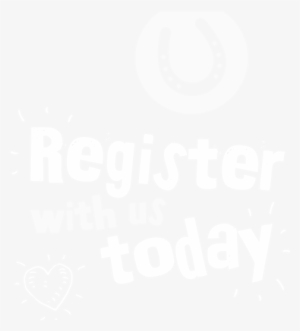 Horse Health Programme - Xl Home Unlimited