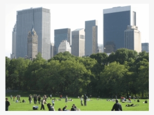 Building A Green Work Space - Central Park