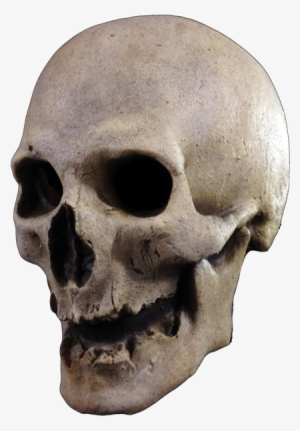 Previous Product Next Product - Trick Or Treat Studios Antique Skull Mask