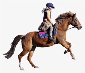 Girl With Horse Png