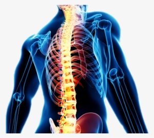 Minimally Invasive Spinal Surgery - Neurosurgery Spine