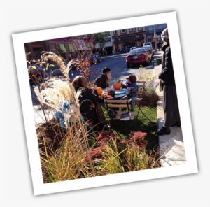 We At Western Landscape Services Are Dedicated To The - Landscaping