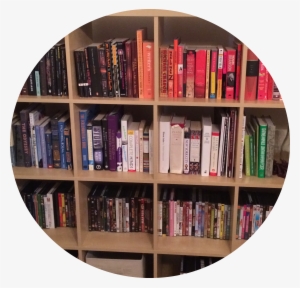 Color Sorted Bookshelf - Color
