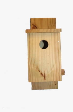 Plywood