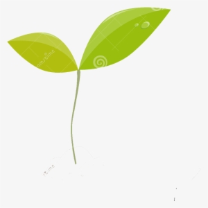 Beaver, Bog, Cattail, Dragonfly, Ecology, Eng, Fen, - Planta Silueta