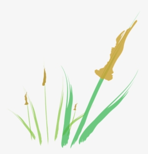 Cattail Abstract Digital Illustration - Illustration